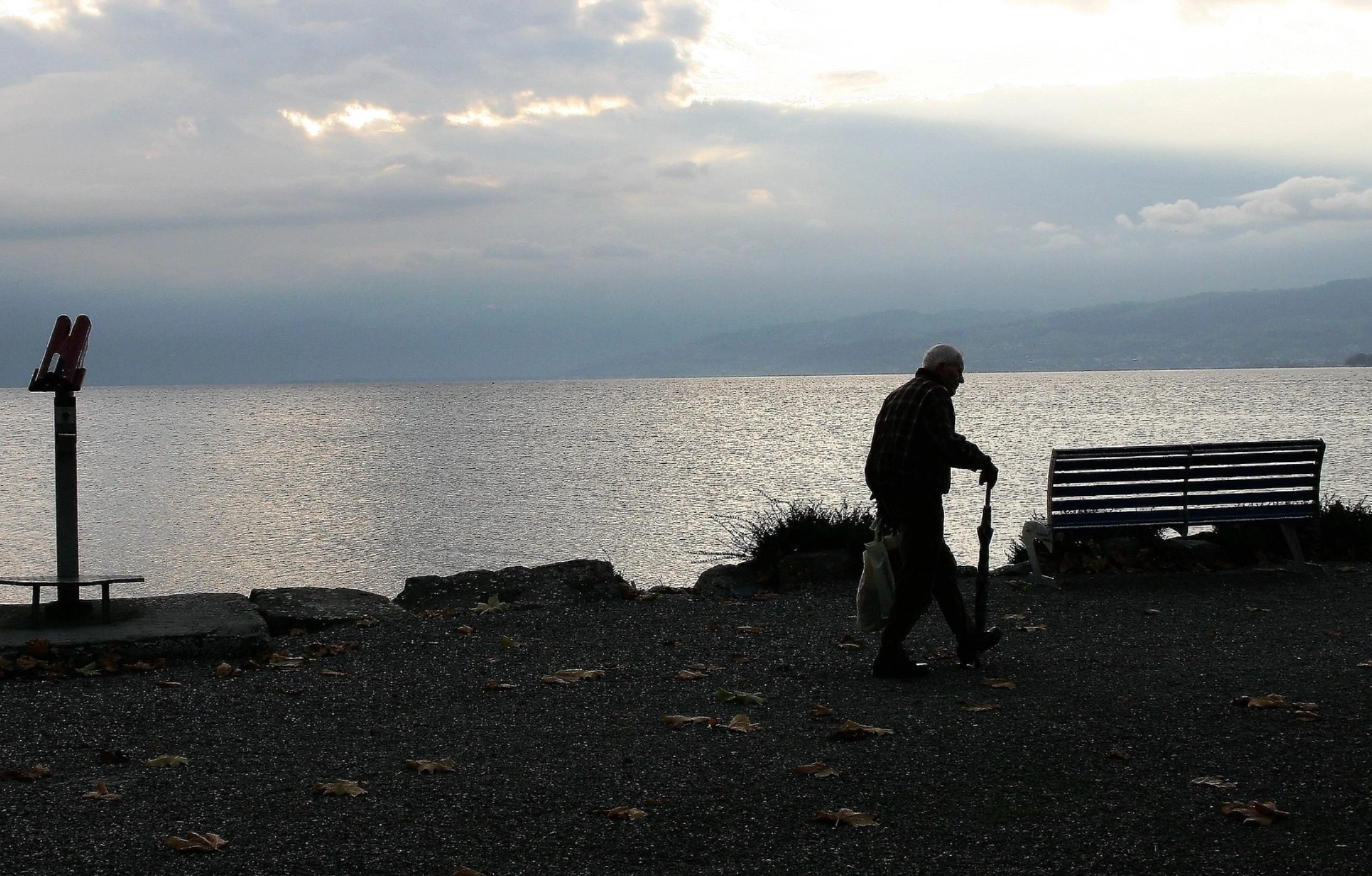 Physical and cognitive Activities